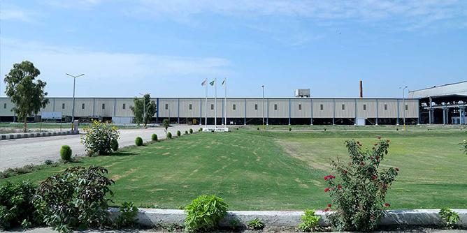 Moiz Steel