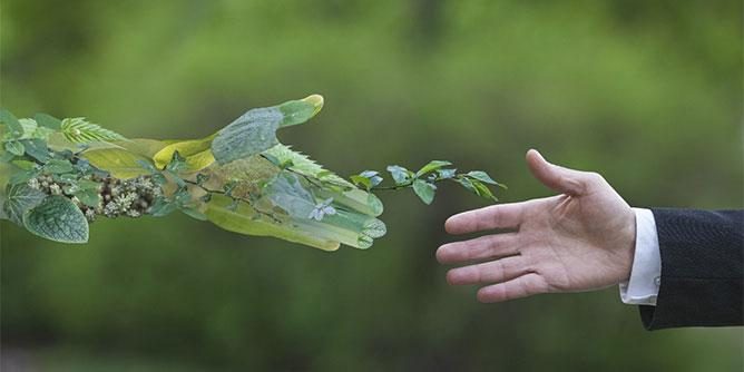 Environment
